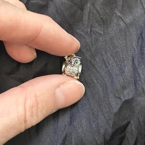 Pandora graduate owl charm